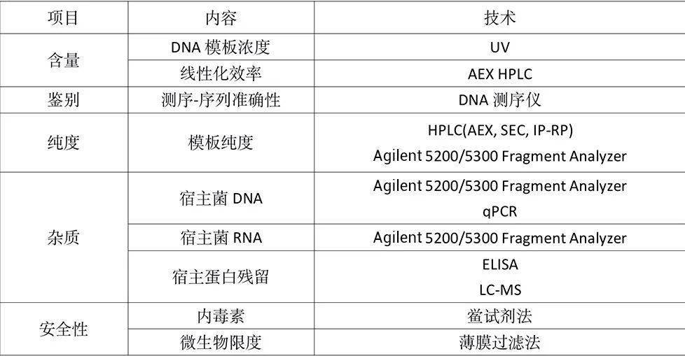 关于《全面解析艾丽攻略：从新手到高手的实用指南》的信息