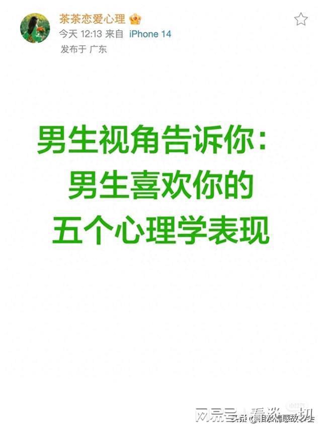 单身部落在线观看指南：从心理学角度解读剧中的人物关系