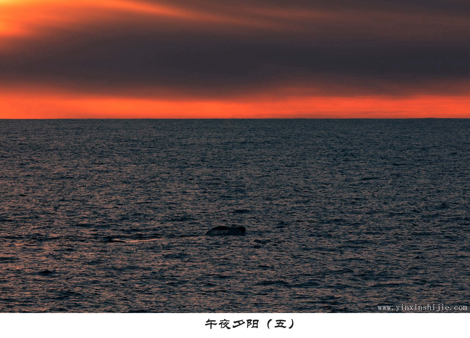 海天影院：不仅是放松的场所，更是社交的好地方的简单介绍