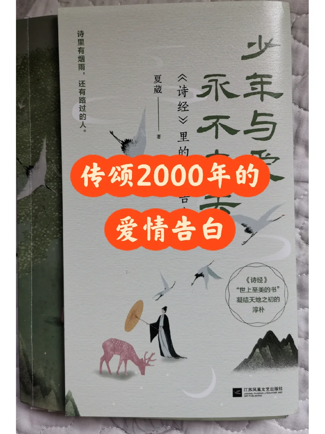 单身部落在线观看：如何看待剧中人物对爱情的复杂态度？