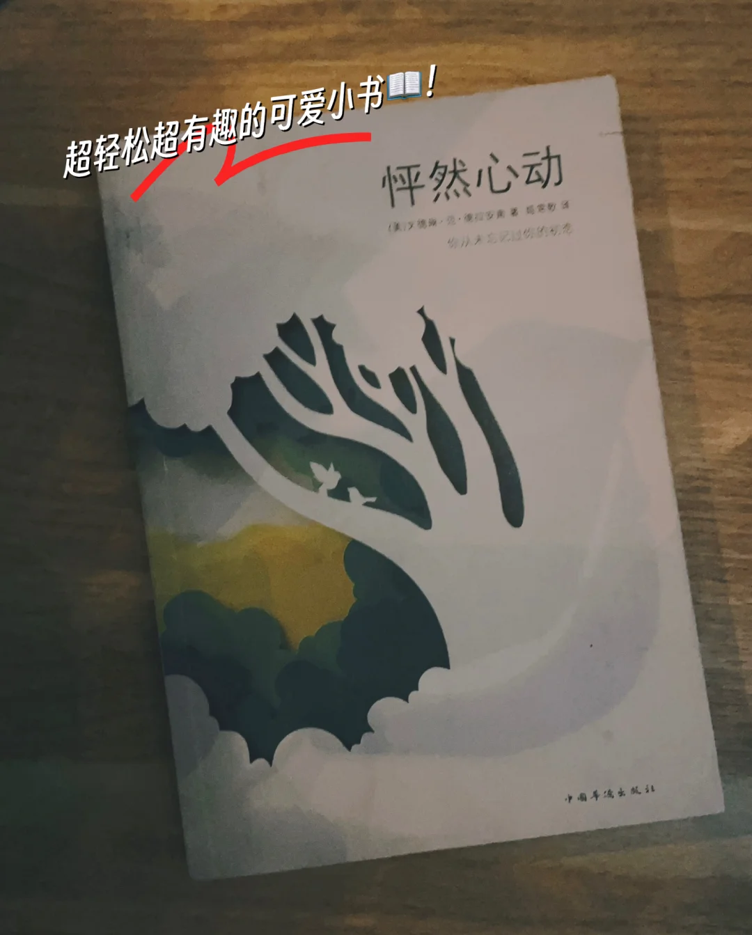 走进从爱情开始：一段关于初恋、成长与命运的故事