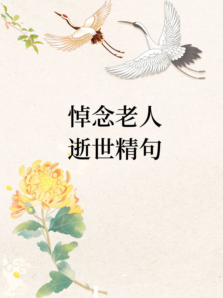 花谢花飞花满天：爱与命运交织中的成长与坚持